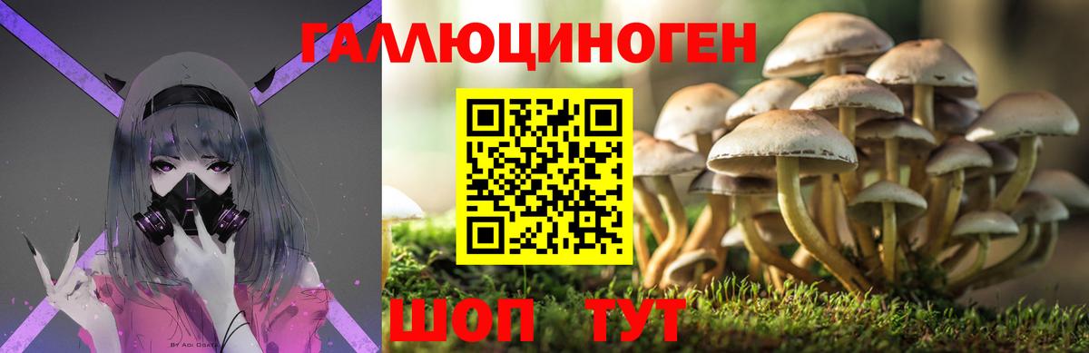Галлюциногенные грибы мицелий  Вход с VPN  Якутск 